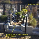 川崎市麻生区　早野聖地公園でお墓のリフォーム工事　植木の抜根・目地補修に化粧砂利の敷き込みなど。